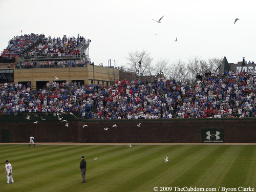 Wrigley Field